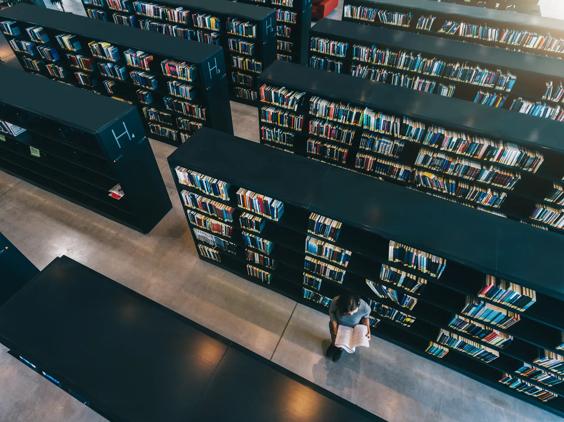 Bibliothek